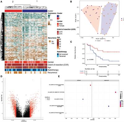 Methylation-based reclassification and risk stratification of skull-base chordomas